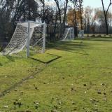 Immagine di Alberto Sogliani